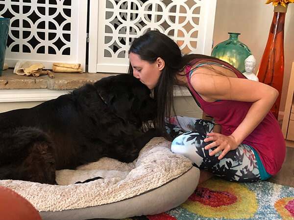 dharma-dog-sitting-slider1-1