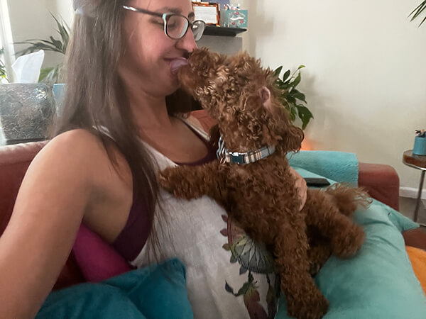 dharma-dog-sitting-slider1-7