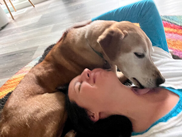 dharma-dog-sitting-slider2-3