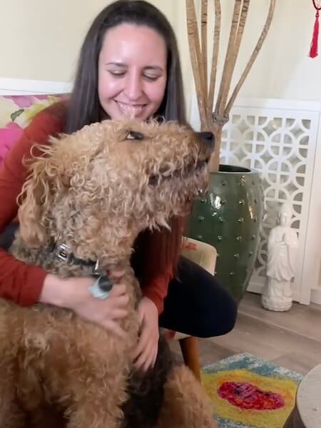 dharma-dog-sitting-slider3-1